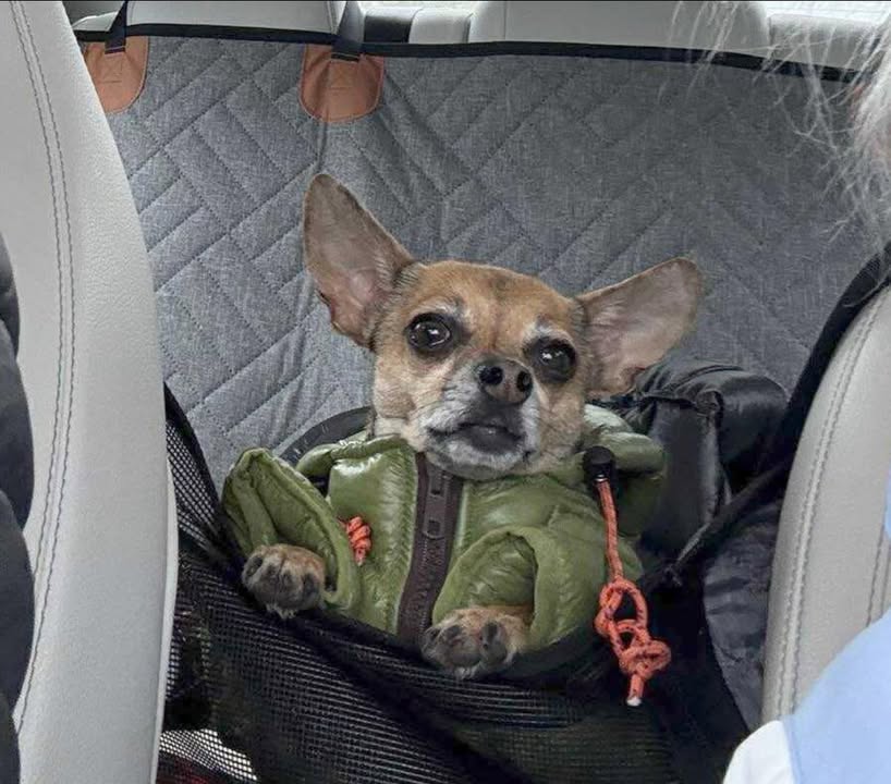 Ellie's Legacy Animal Foundation